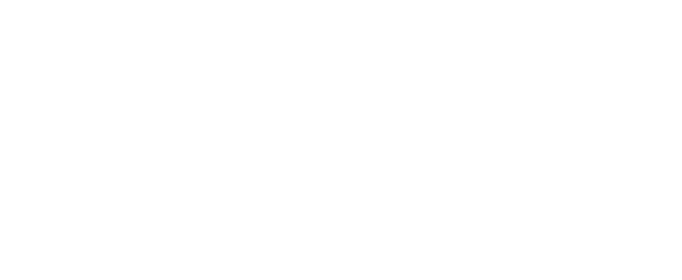 MAXIMA Professional logo